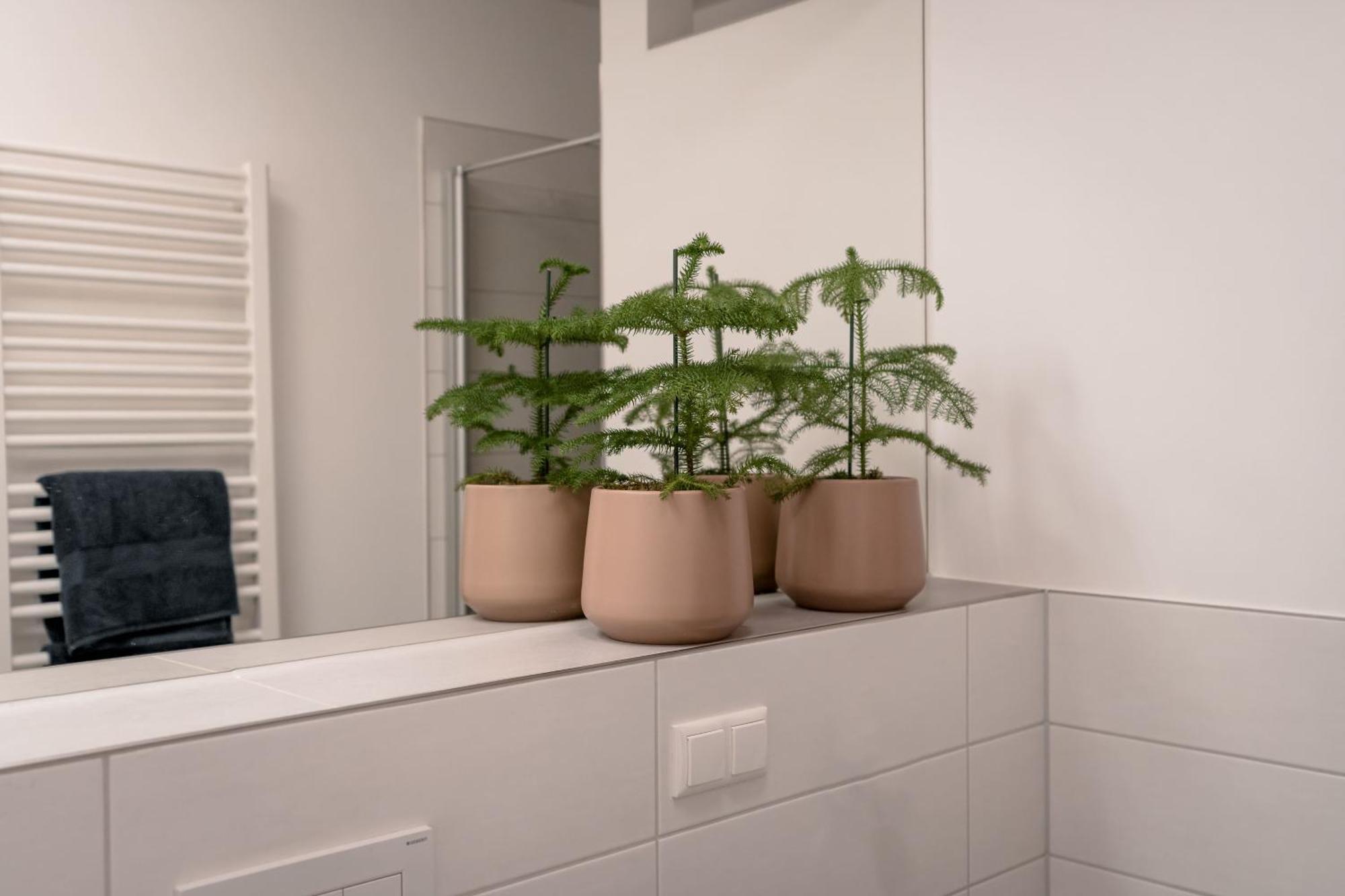 Ferienwohnung Altstadt Ratisbonne Extérieur photo